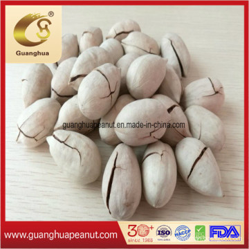 Hot Sales Nutritious and Healthy High Quality Pecan Nuts